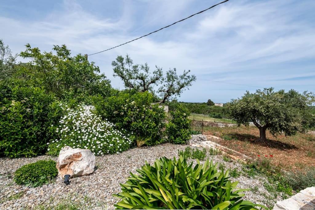 カステッラーナ・グロッテ Trullo Oasi Santo Stefano - Private Poolヴィラ エクステリア 写真